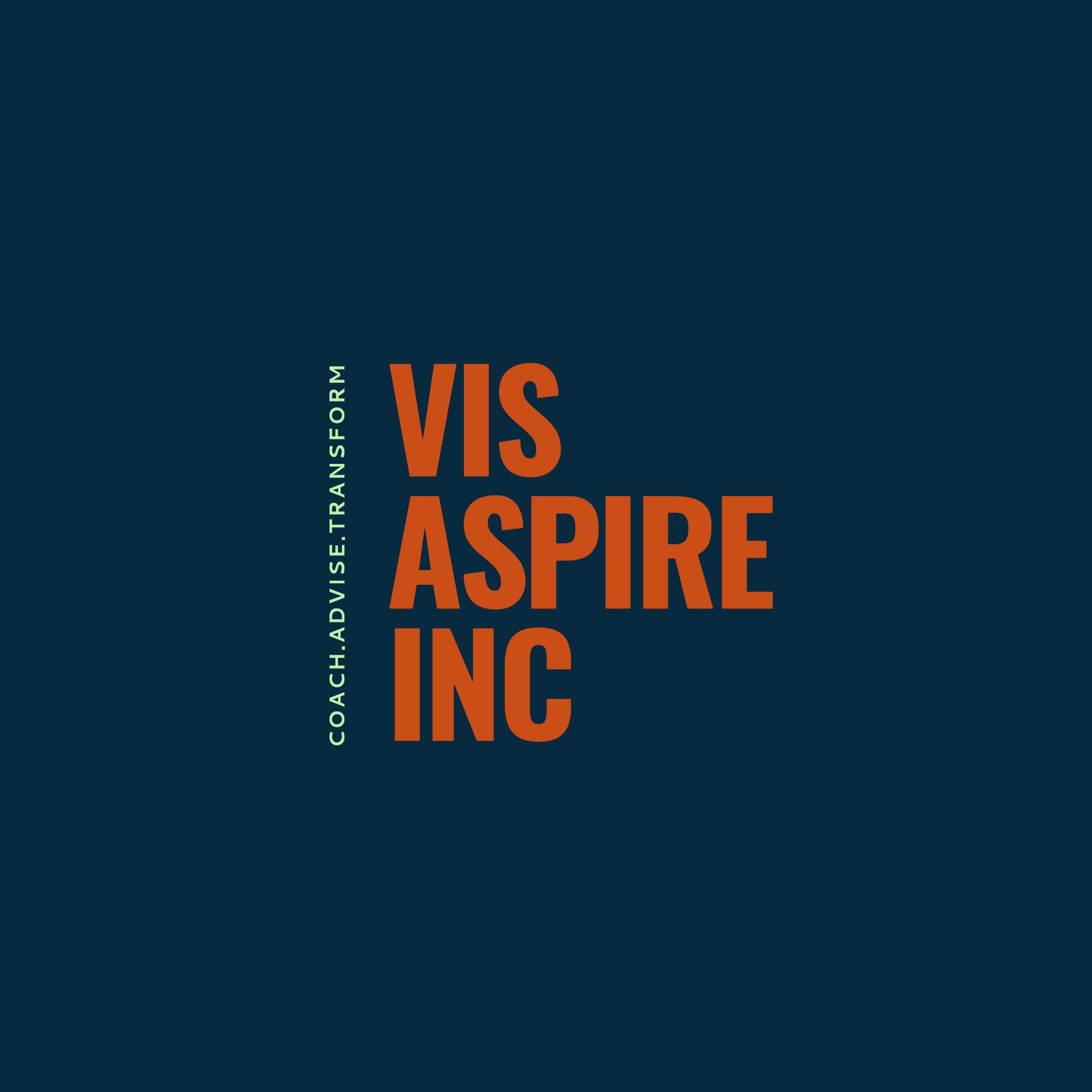 Vis Aspire Inc